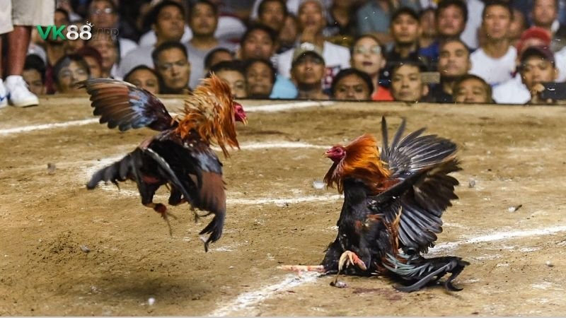 chua-benh-hen-o-ga-da-1