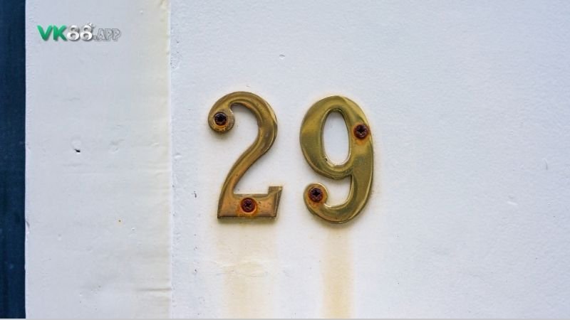 de-ve-29-hom-sau-danh-con-gi