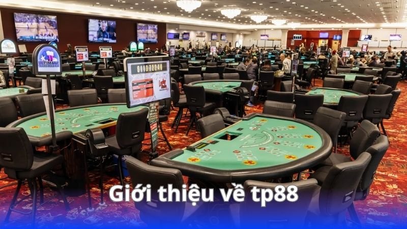 gioi-thieu-ve-tp88